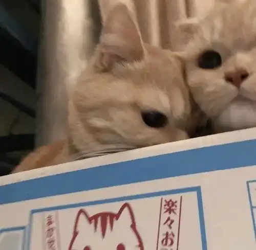  怎样判断男性朋友是否爱上自己了