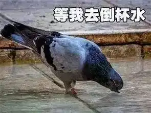 你的努力能改变世界,那些神经病模拟养成你玩过吗