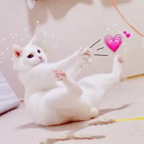  你们合不合适,一起去干两件事就能检测出,准哭了