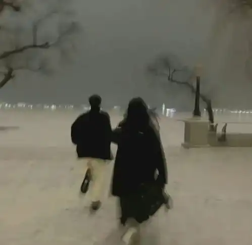  背景图平淡的日子里泛着光