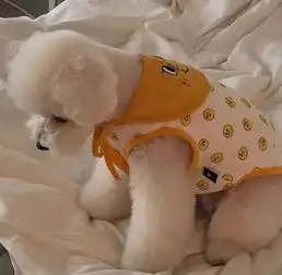  背景图人间烟火气最抚凡人心