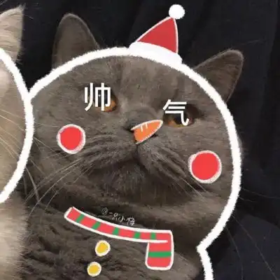  可爱猫咪情侣头像泡面加蛋烦情侣头像我要个性网