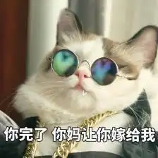 猫咪戴墨镜表情包