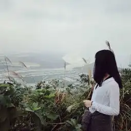 三亚说好的避寒之旅2014.12.1116图片